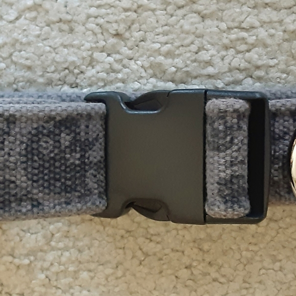 Skulls Dog Collar - Picture 1 of 2